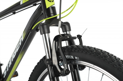Stinger Caiman 26 (2021)