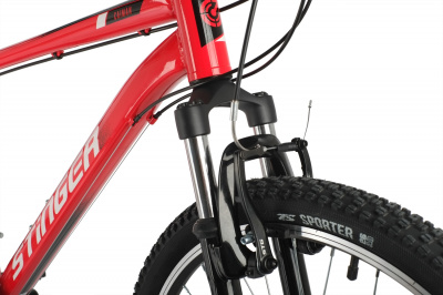 Stinger Caiman 26 (2021)