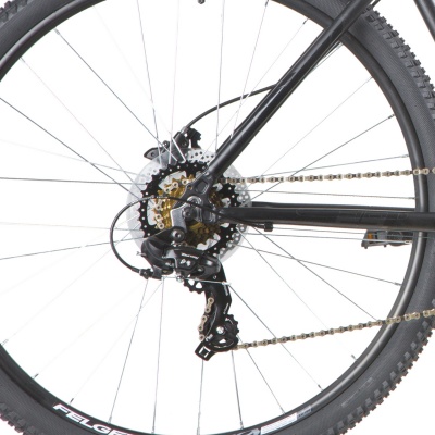 Stinger Element PRO 29" (2020)