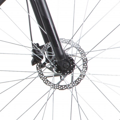 Stinger Element PRO 29" (2020)